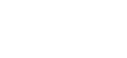 BizzardLogo